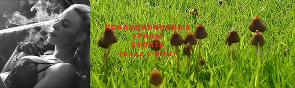 дурь Волоколамск
