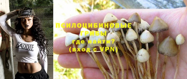 дурь Волоколамск