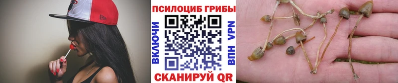 где продают   Галич  Галлюциногенные грибы прущие грибы 